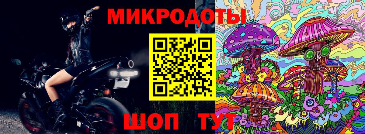 как найти   Вход с VPN  Кирово-Чепецк  Псилоцибиновые грибы GOLDEN TEACHER 